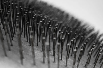 Essential Hair Care Tools for Stimulating Growth