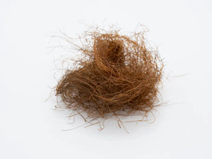 Effective Dual Action Hair Regrowth for Men with Minoxidil